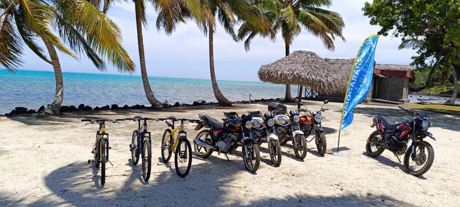 Mora Mora Resort Ankoalamare Extérieur photo
