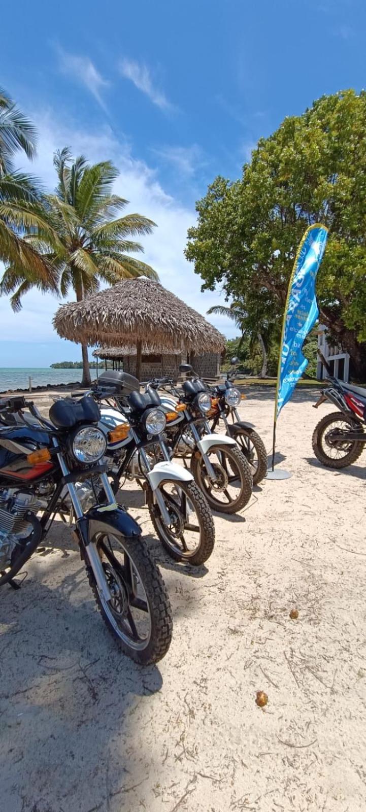 Mora Mora Resort Ankoalamare Extérieur photo